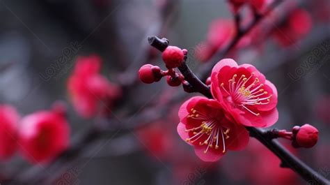 中銀花紅|驚人！中銀花紅新高